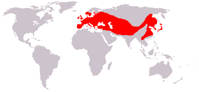 File:Rook range map.PNG