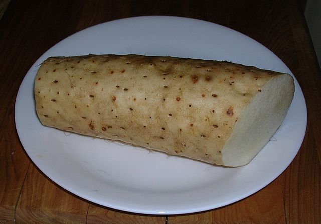 File:Dioscorea opposita (batatas).jpg
