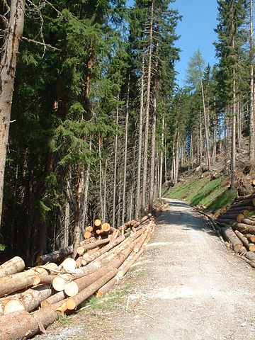 File:Forstarbeiten in Österreich.JPG