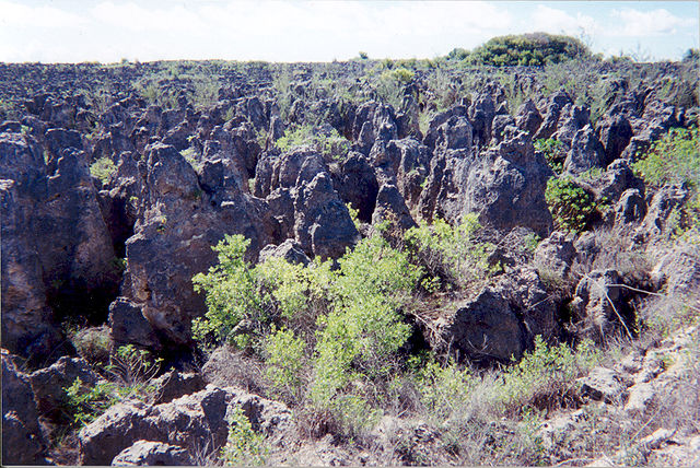 File:Karst following phosphate mining on Nauru.jpg