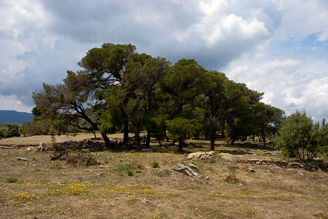 File:Temple of Poseidon Poros.jpg