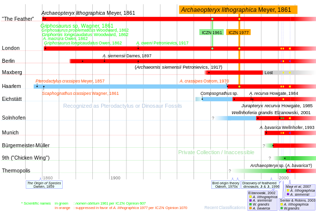 File:Archaeopteryx timeline.svg