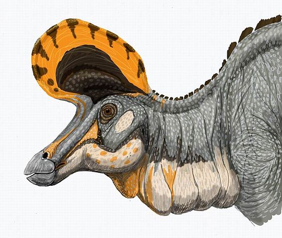 File:Lambeosaurus magnicristatus DB.jpg