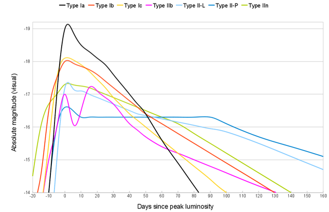 File:Comparative supernova type light curves.png