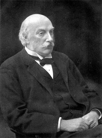 File:John William Strutt.jpg