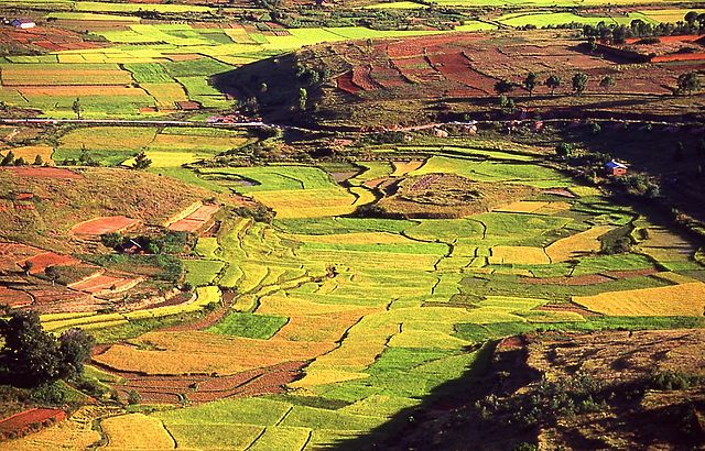 File:Imerina countryside riziere rice paddies Madagascar.jpg
