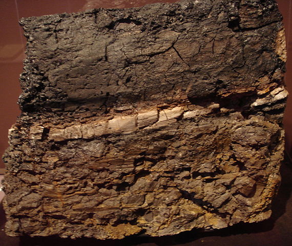 File:K-T-boundary.JPG
