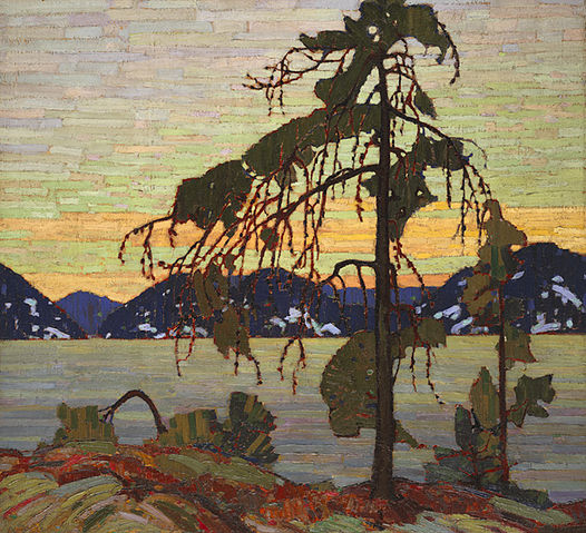 File:Jackpine.jpeg