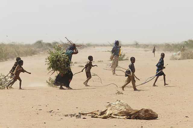 File:Oxfam East Africa - A family gathers sticks and branches for firewood.jpg