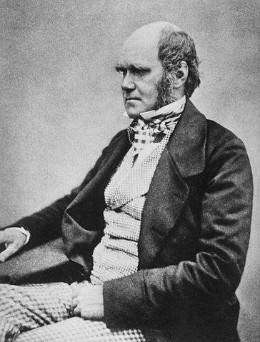 File:Charles Darwin seated crop.jpg