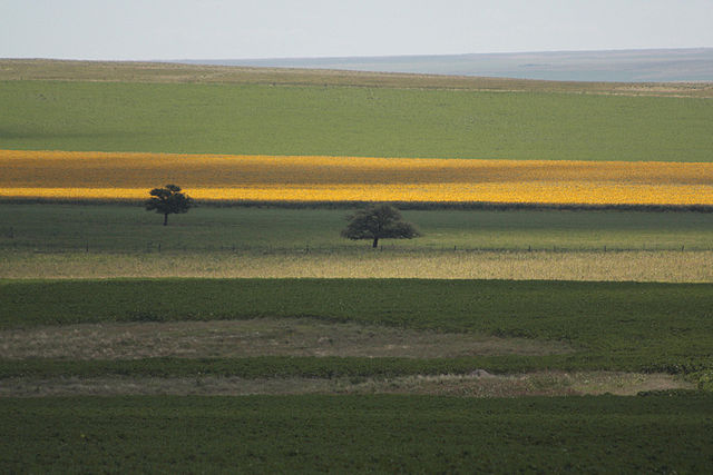 File:Camino a las Sierras de Córdoba 2009-11.jpg