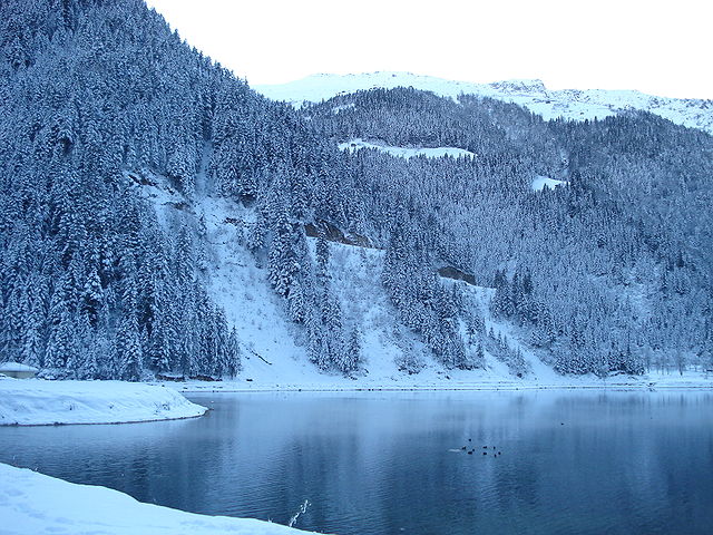 File:Uzungöl3.jpg