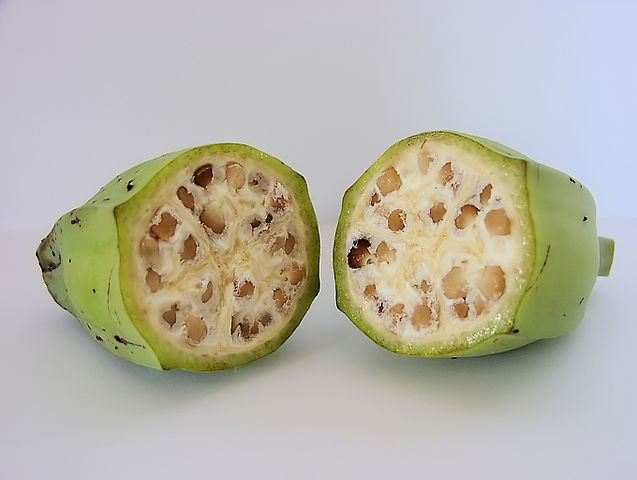 File:Inside a wild-type banana.jpg