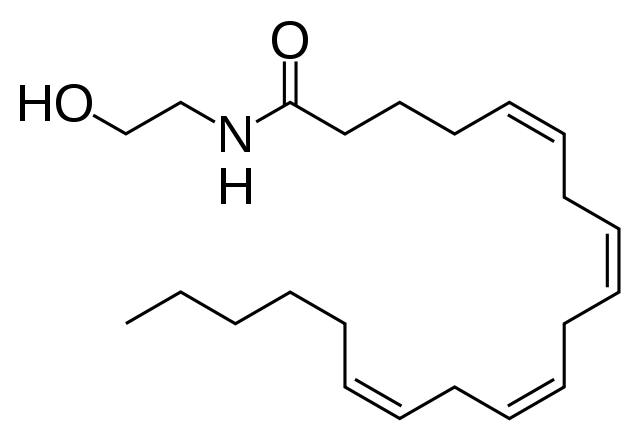 File:Anandamide skeletal.svg