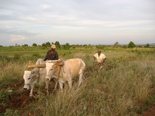 File:Northern Uganda Africa3 031.jpg