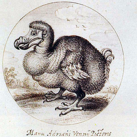 File:Van den Venne dodo.jpg