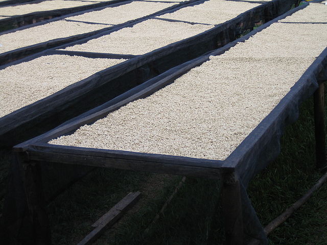 File:MarabaCoffeeDryingRacks.jpg