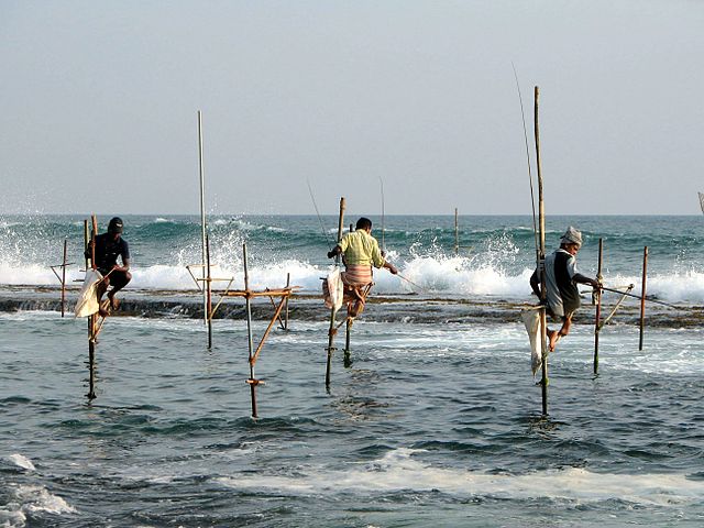 File:Stilts fishermen Sri Lanka 02.jpg
