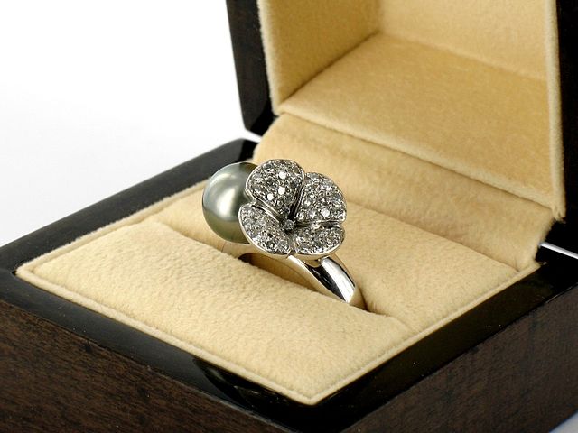 File:Ring-hd-photo-packshotcreator.jpg
