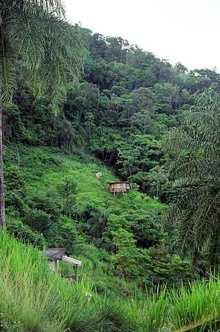 File:Port of spain hills.JPG