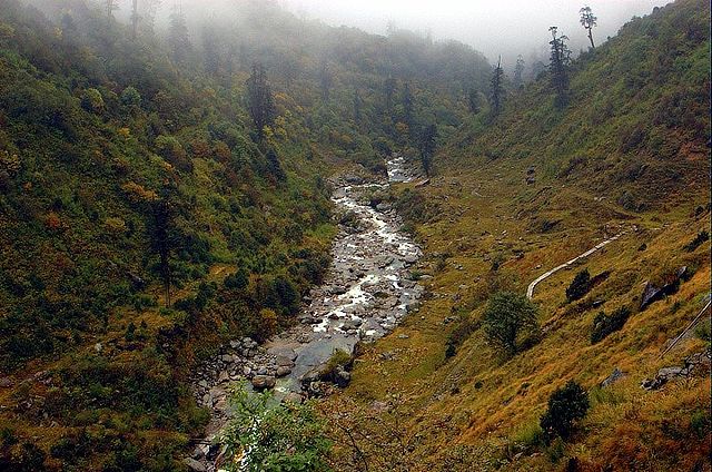 File:Nathu La Fauna 1.jpg
