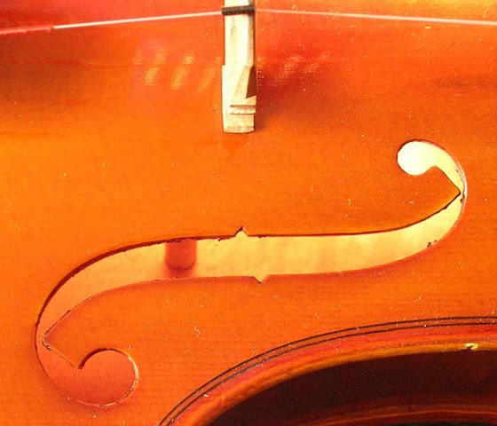 File:Soundpost end.jpg