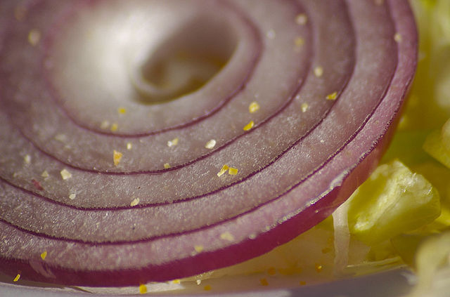 File:Onion on lettuce by Swatjester.jpg