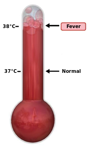 File:Thermometer Fever.svg